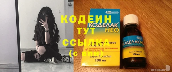 молекула духа Богданович