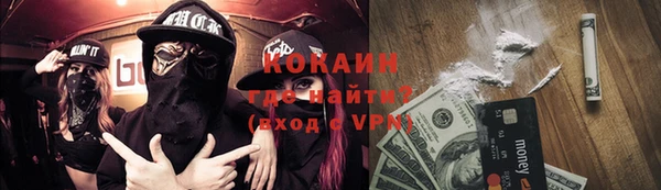 молекула духа Богданович