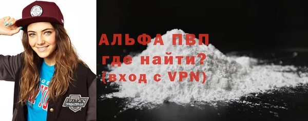 прущие грибы Богородицк