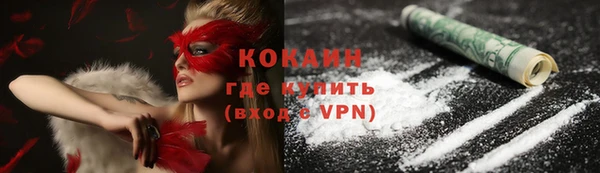 прущие грибы Богородицк