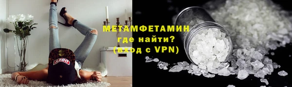 прущие грибы Богородицк