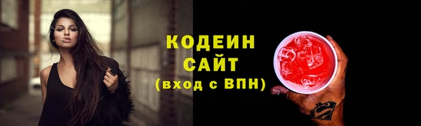 прущие грибы Богородицк