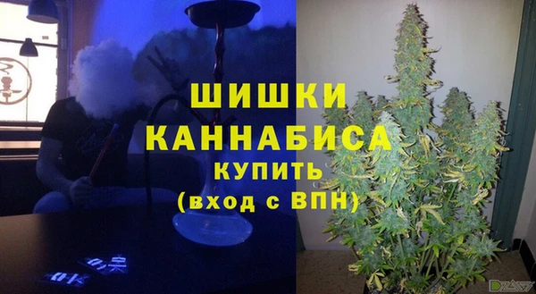 молекула духа Богданович