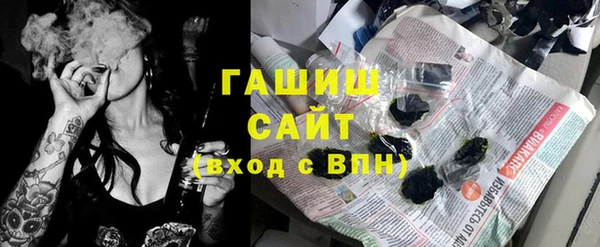 молекула духа Богданович