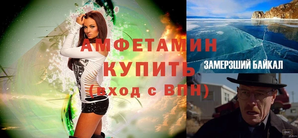 молекула духа Богданович