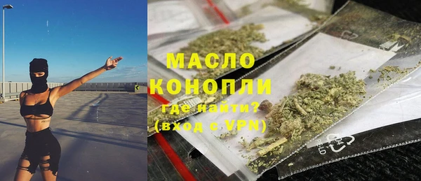 молекула духа Богданович