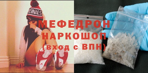 молекула духа Богданович