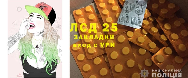 прущие грибы Богородицк